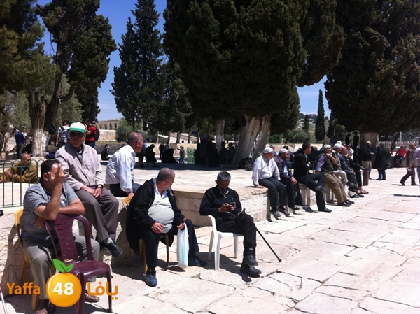 yaffa aqsa 0414 (36).JPG